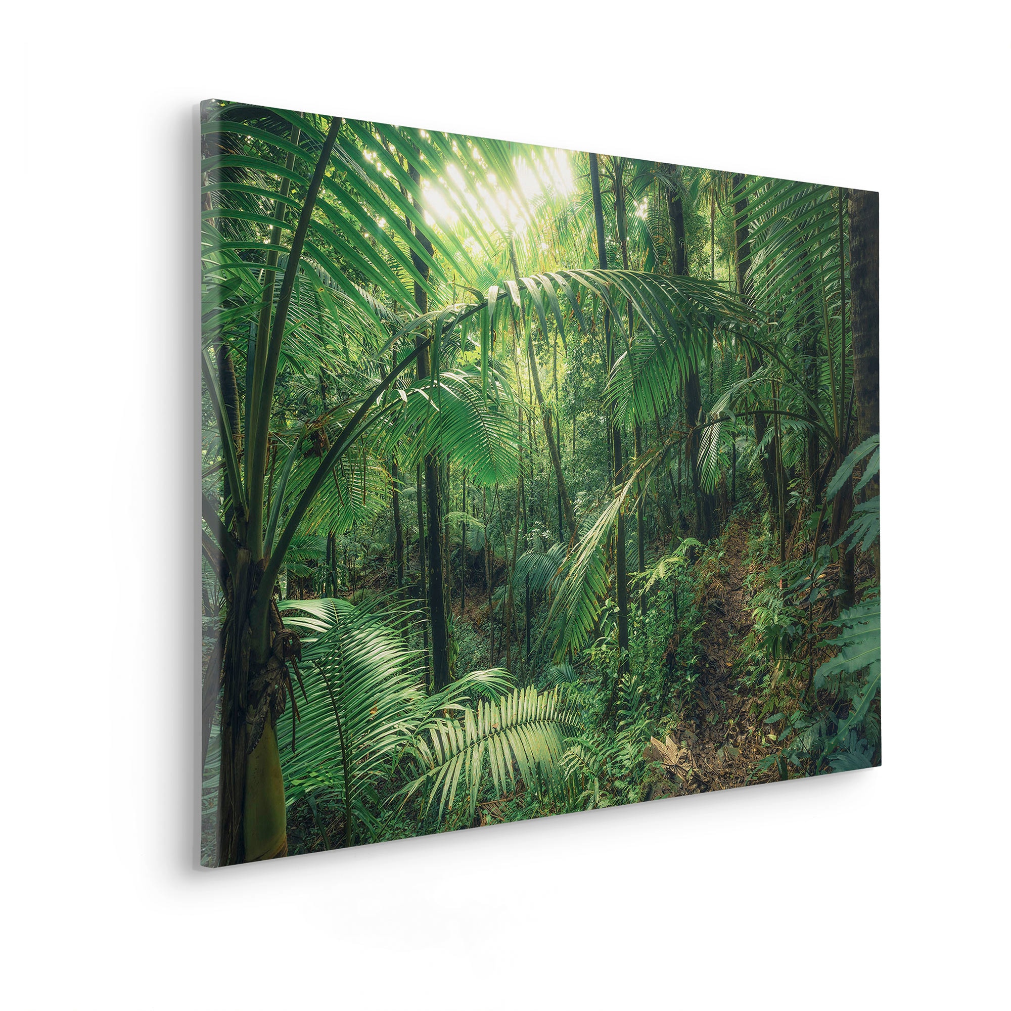 Komar Leinwandbild »Jungleflair - Größe 90 x 60 cm«, Baum-Blätter-Natur-Berge-Blumen-Foto-Jahreszeiten-Landschaft-Meer-Strand-Palmen, (Packung, 1 St.), Keilrahmenbild mi Echtholzrahmen