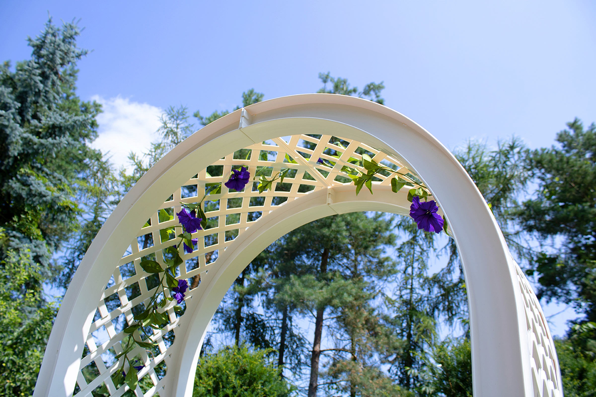 KHW Rosenbogen BxTxH: 100x43x207 cm, mit Erdspießen