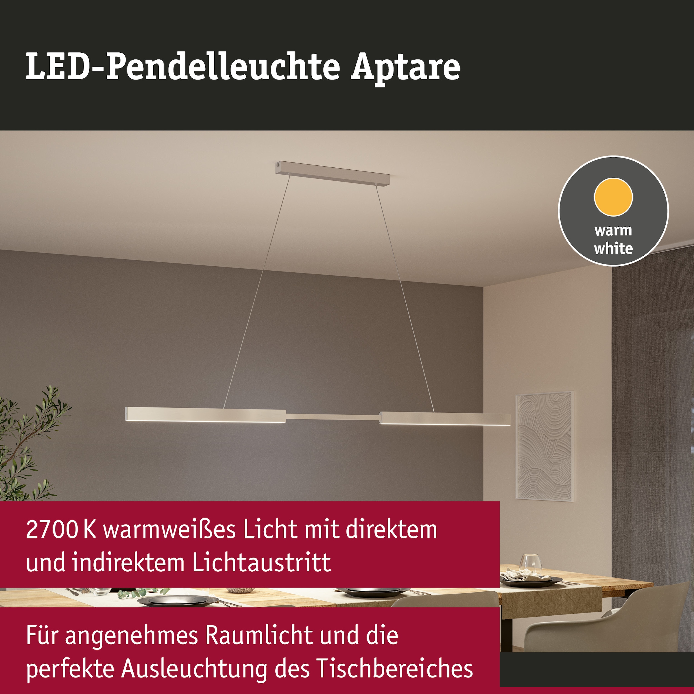 Paulmann LED Pendelleuchte »LED Pendelleuchte Aptare dimmbar« 1 Stk. Warmweiß Memoryfunktion