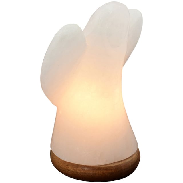 HIMALAYA SALT DREAMS Salzkristall-Tischlampe »Engel«, Handgefertigt aus  Salzkristall - jeder Stein ein Unikat, H: ca.19 cm online kaufen | mit 3  Jahren XXL Garantie | Tischleuchten