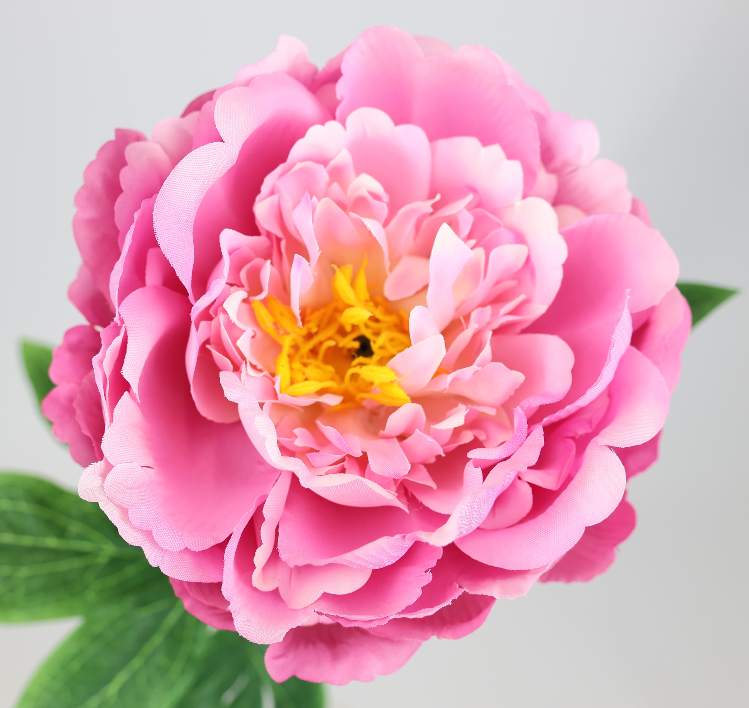 I.GE.A. Kunstblume »Päonie Bauernrose« Pfingstrosen Einzelblume, 3er Set