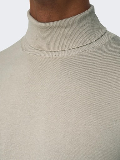 ONLY & SONS Rollkragenpullover »ONSWYLER LIFE REG ROLL NECK KNIT NOOS«