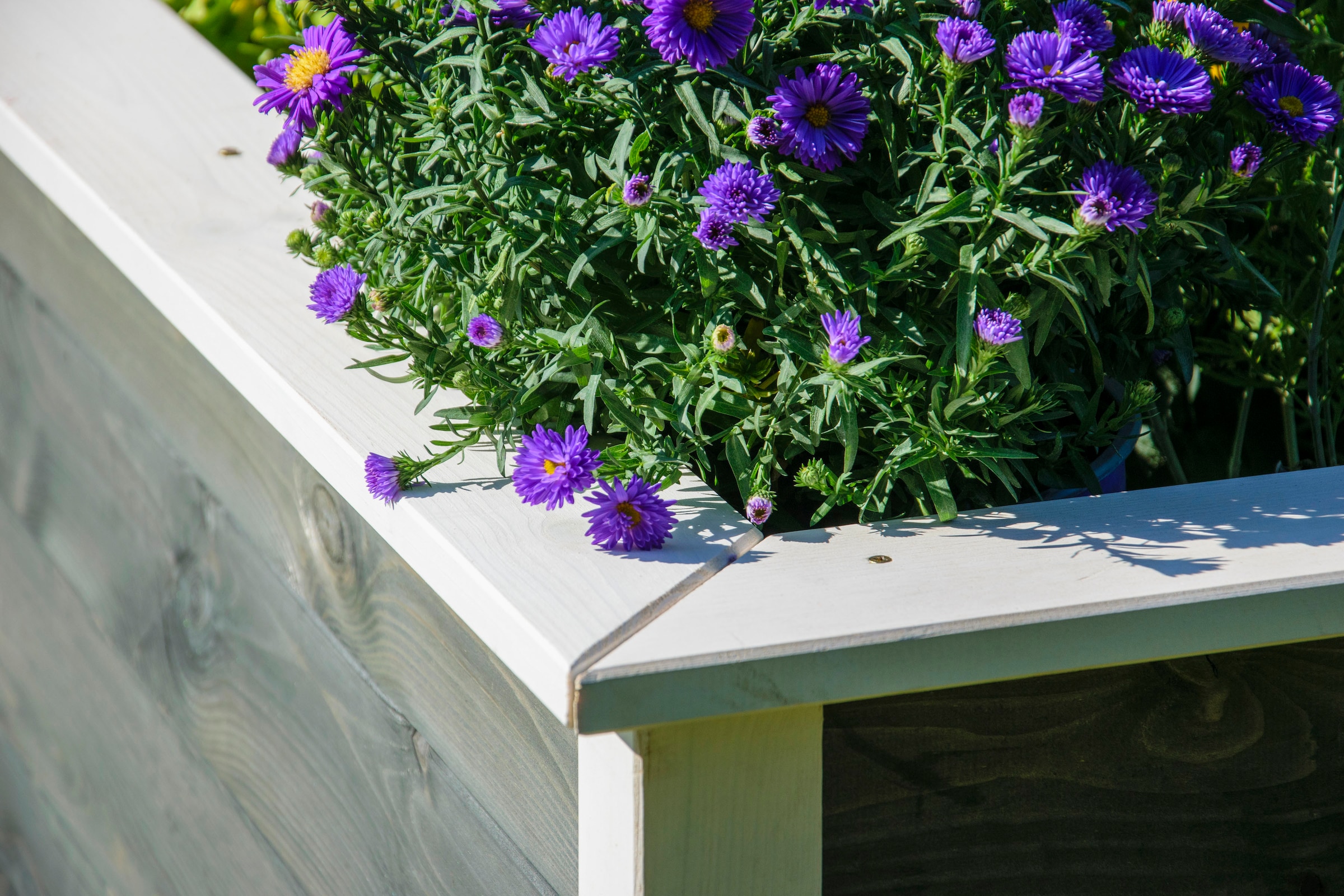 dobar Hochbeet »Two-Tone«, Bausatz, aus FSC®-zertifiziertem Kiefernholz, wetterfest grau lasiert