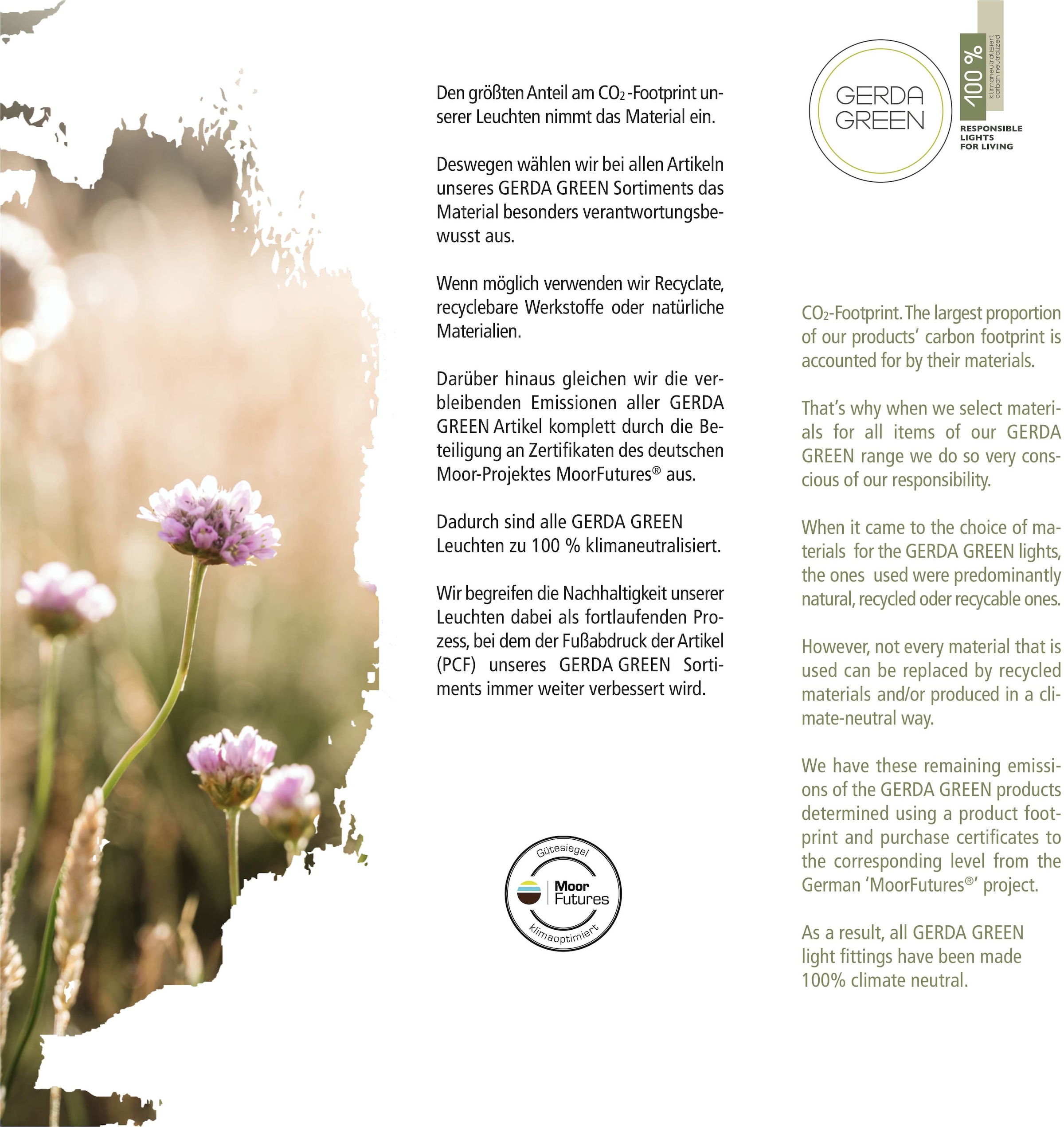 JUST LIGHT Deckenleuchte »GREEN WIDO« E14 1 Stk.