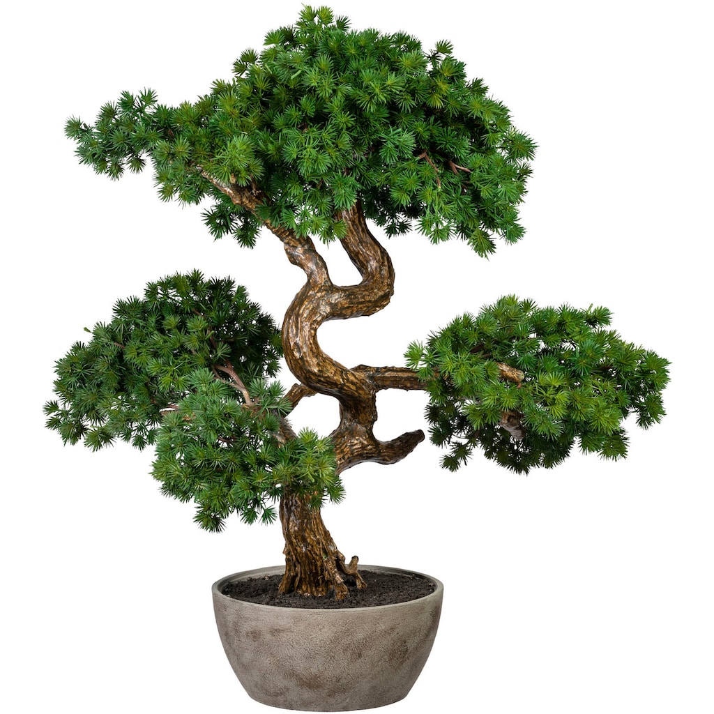 Creativ green Kunstbonsai »Bonsai Lärche«