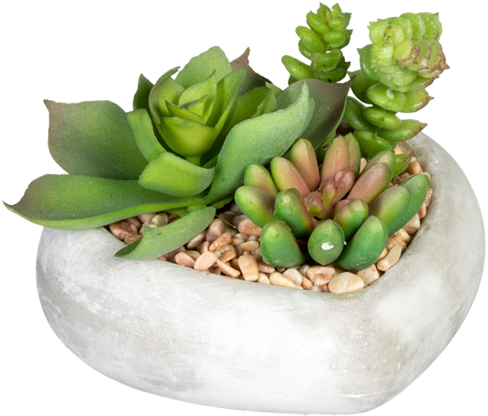 Creativ green Künstliche Zimmerpflanze »Sukkulentenarrangement«, in  Zementschale, 3er Set auf Rechnung kaufen