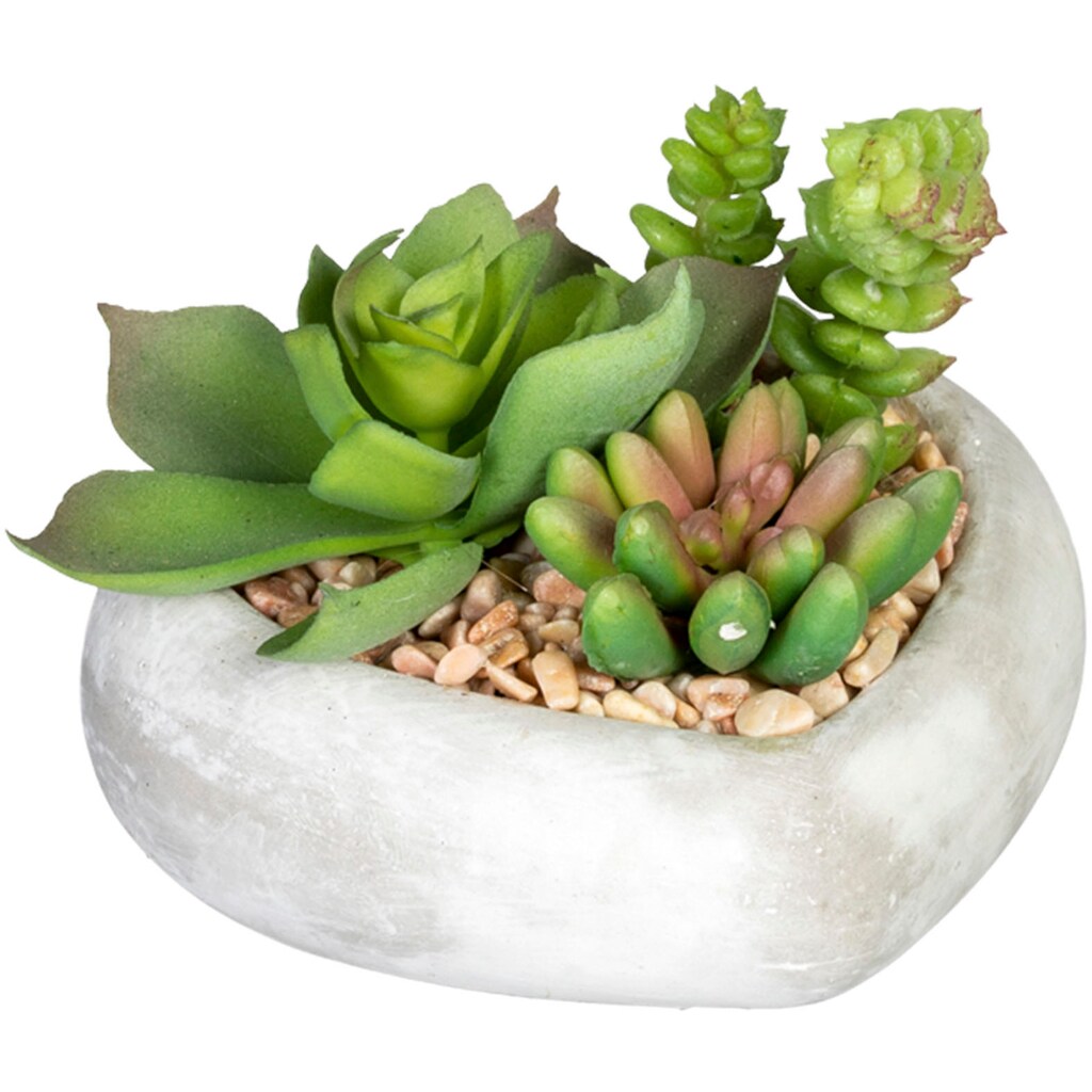 Creativ green Künstliche Zimmerpflanze »Sukkulentenarrangement«