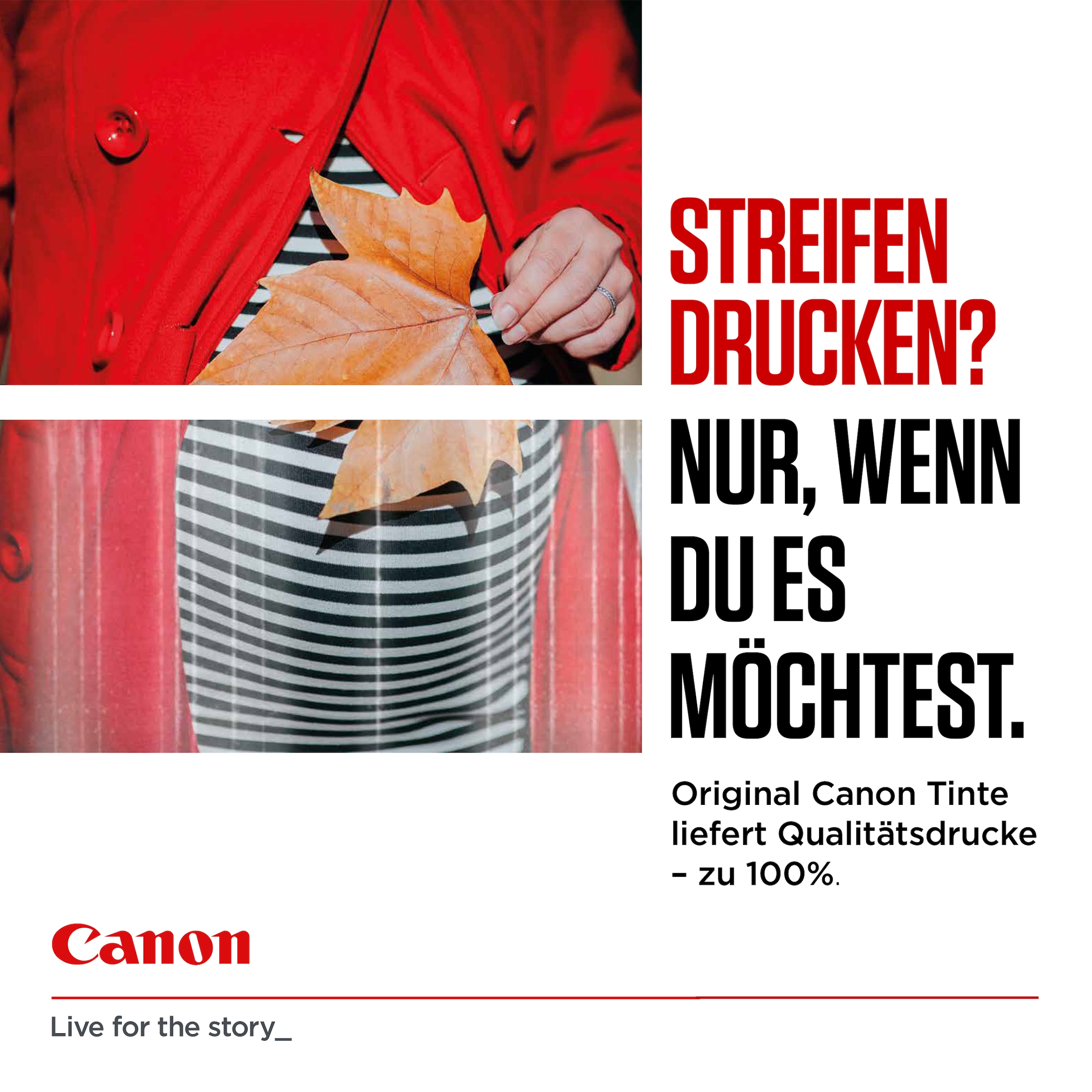 Canon Tintenpatrone »PG540L/CL541XL Photo Value Pack«
