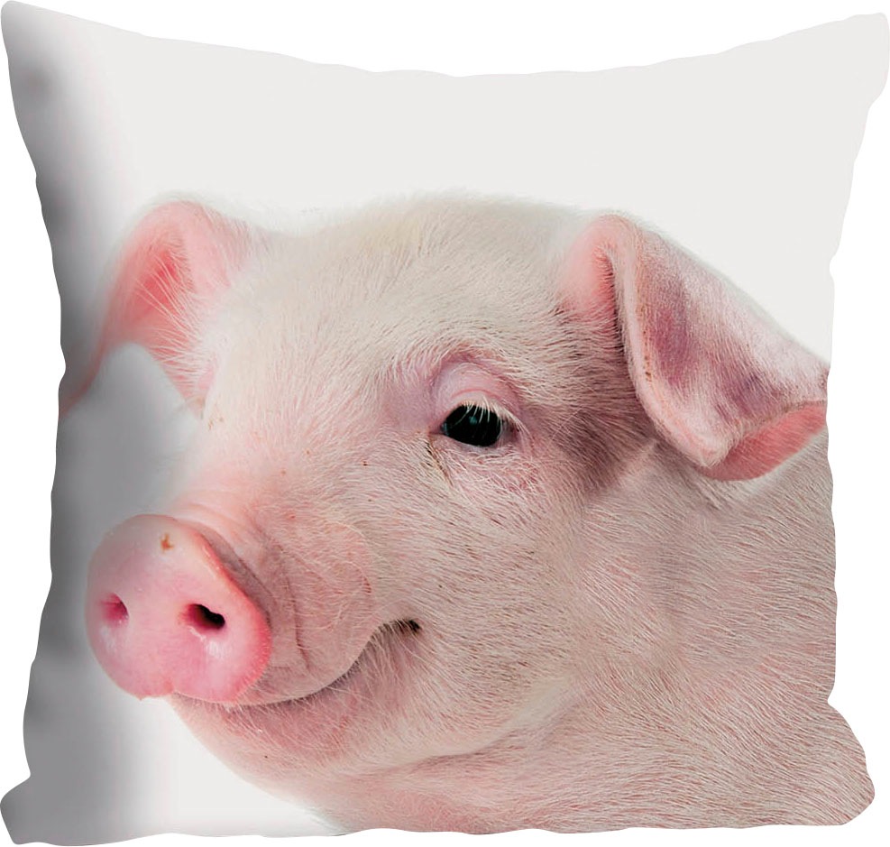 queence Dekokissen »Rebecca«, Kissenhülle,süßes Schweinchen,Rosa,Niedlich,Tiermotiv,Lustig