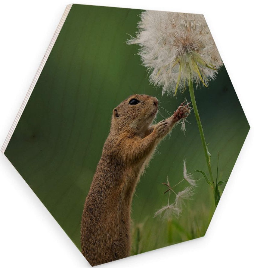 (1 St.) »Eichhörnchen bequem Holzbild bestellen Blumen«, Holzbild Wall-Art