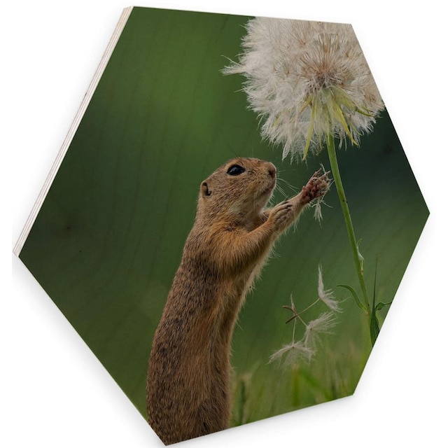 Wall-Art Holzbild »Eichhörnchen Holzbild Blumen«, (1 St.) bequem bestellen
