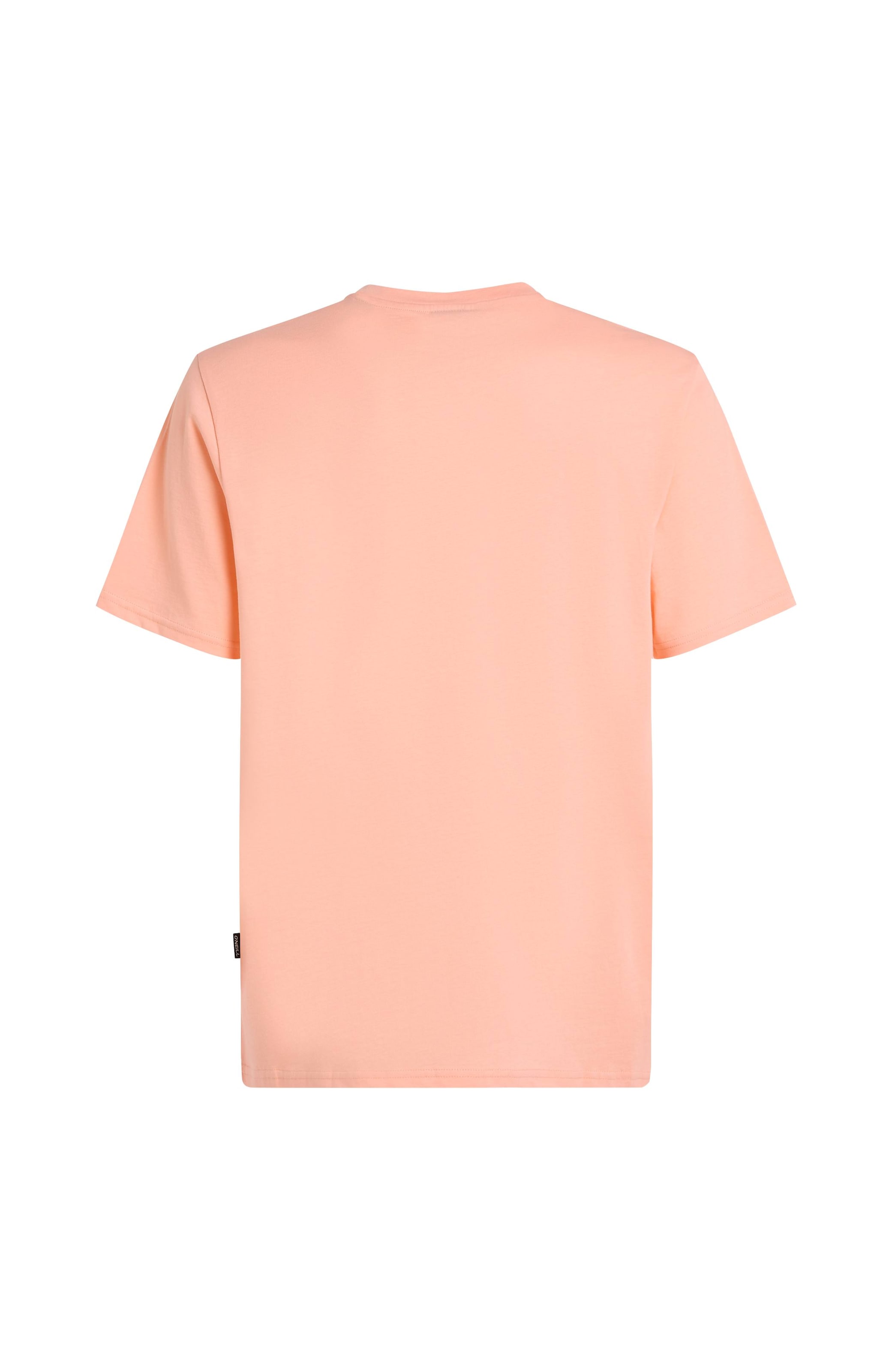 O'Neill T-Shirt »JACK O'NEILL MUIR T-SHIRT«
