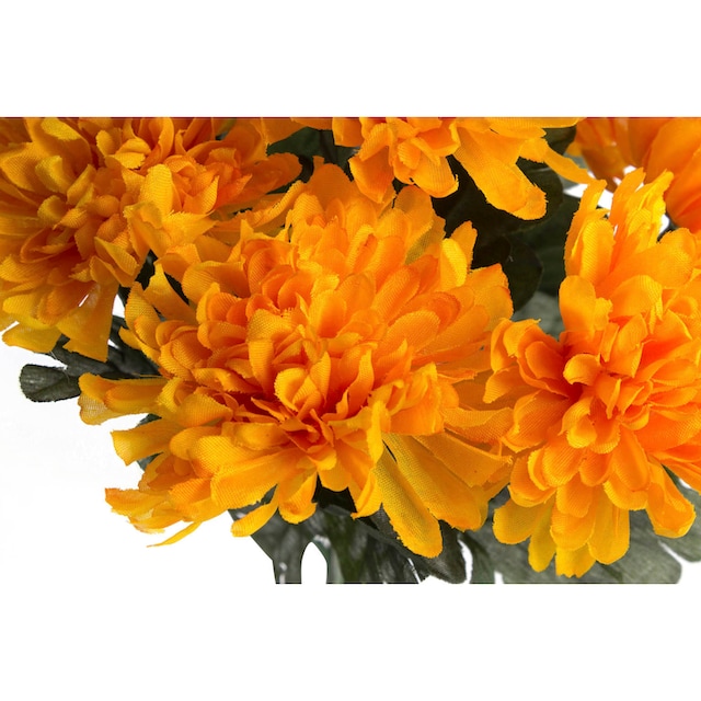 Botanic-Haus Kunstblume »Chrysanthemenstrauß« auf Raten bestellen