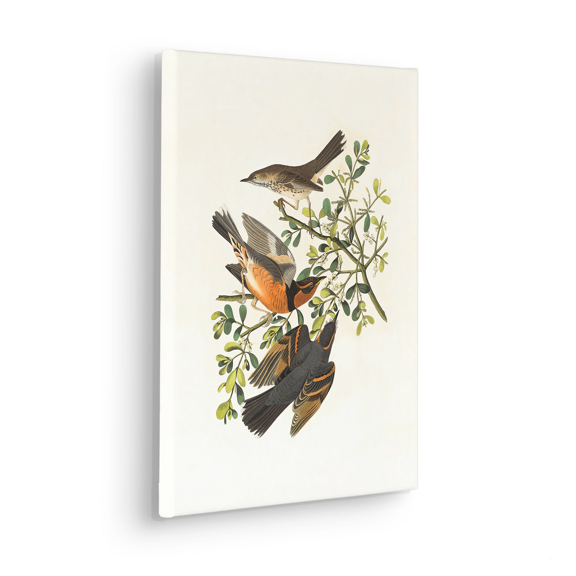 Komar Leinwandbild »Heidi - Größe 30 x 40 cm«, Natur, (1 St.), Keilrahmenbild mi Echtholzrahmen