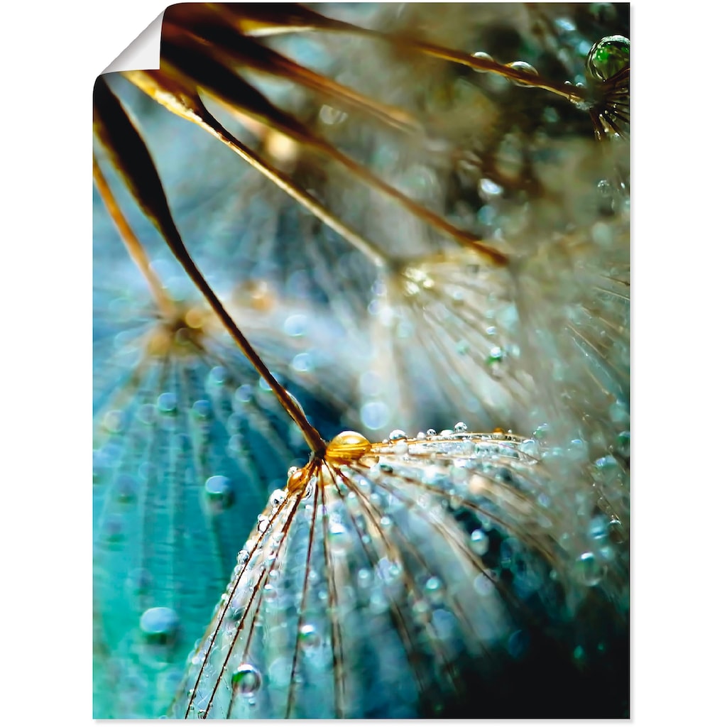 Artland Wandbild »Pusteblume Mystische Schönheit«, Blumen, (1 St.)