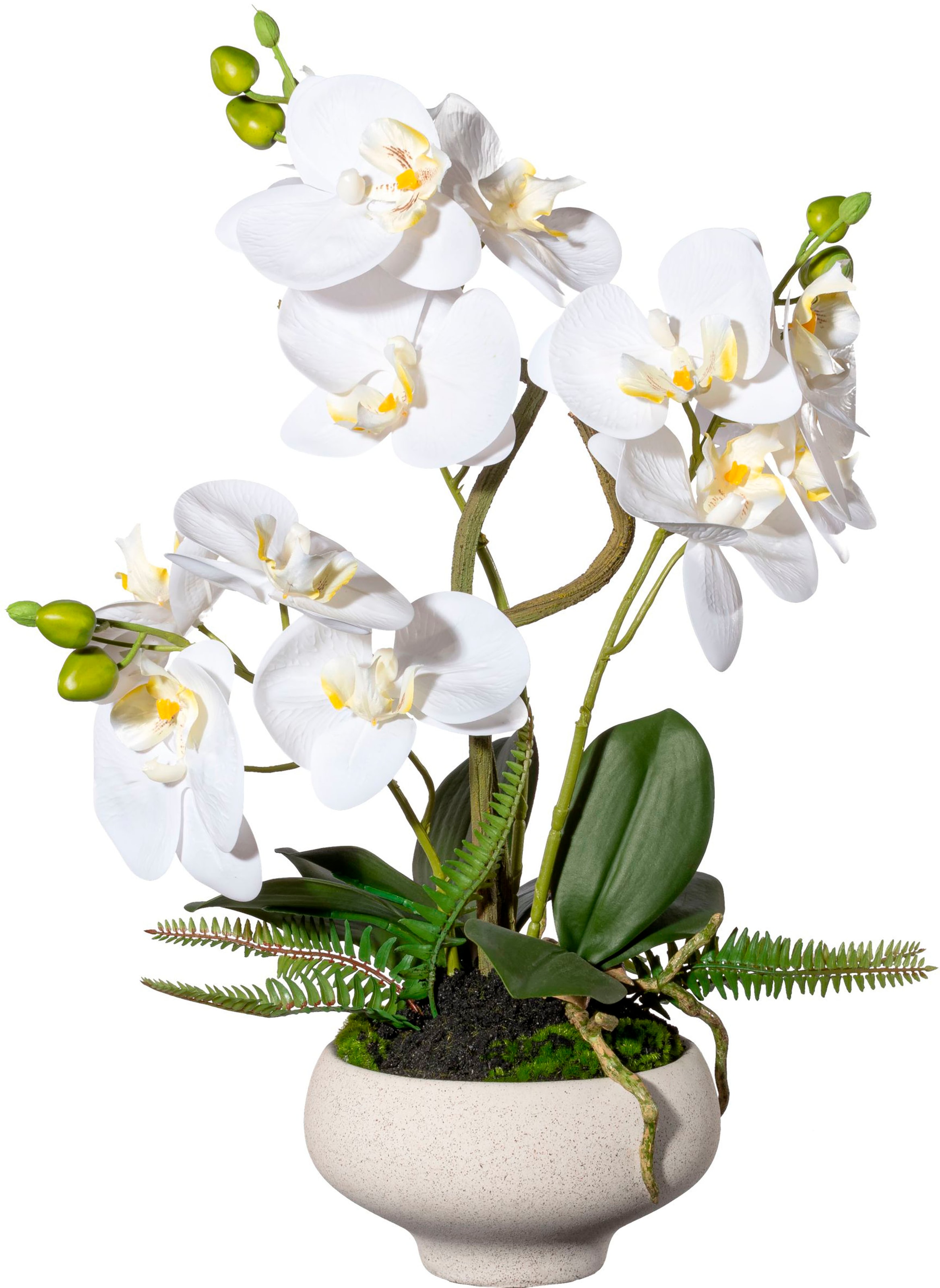 Kunstorchidee »Orchidee Phalaenopsis im Keramiktopf«