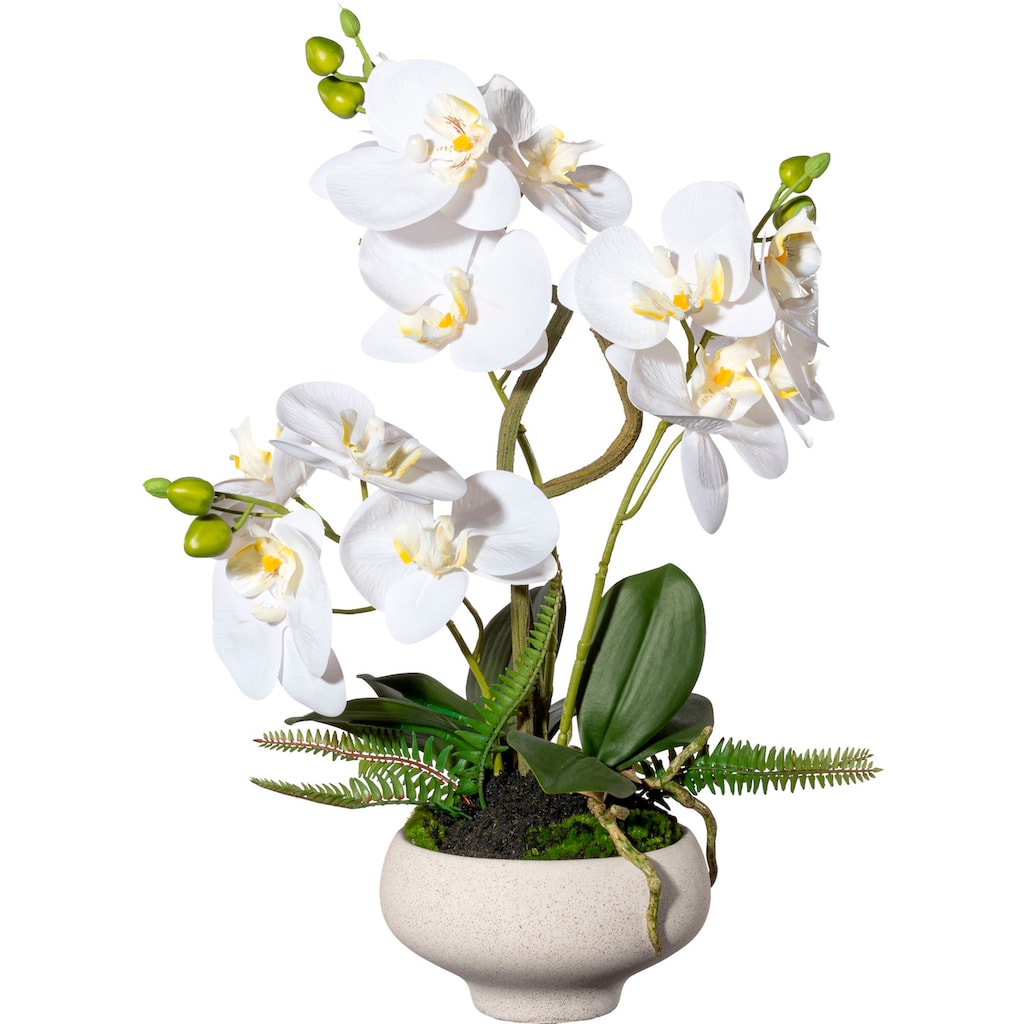 Creativ green Kunstorchidee »Orchidee Phalaenopsis im Keramiktopf«