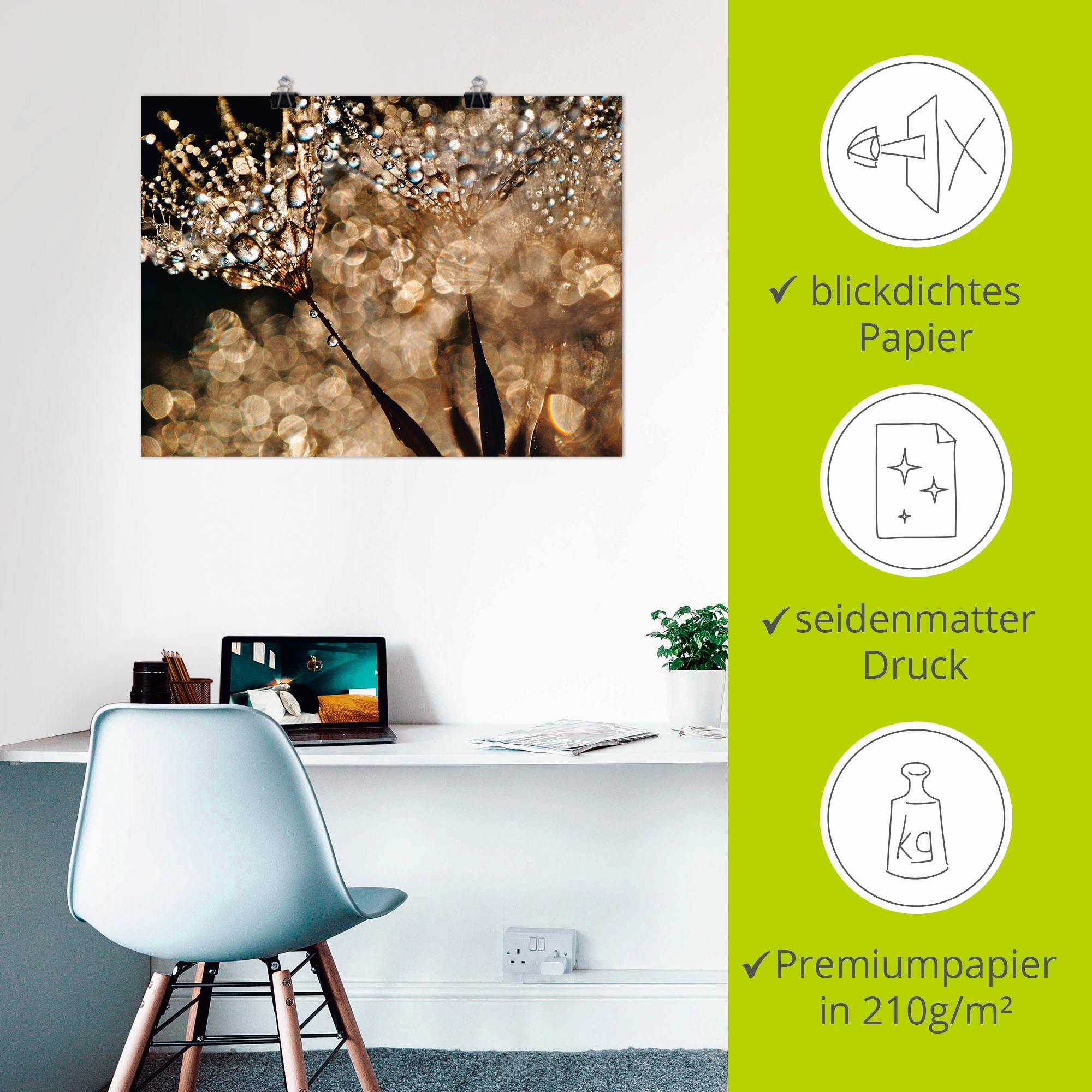 Artland Wandbild »Pusteblume Goldschimmer« Blumen 1 Stk. tlg. als Alubild, Leinwandbild, Poster in verschied. Größen