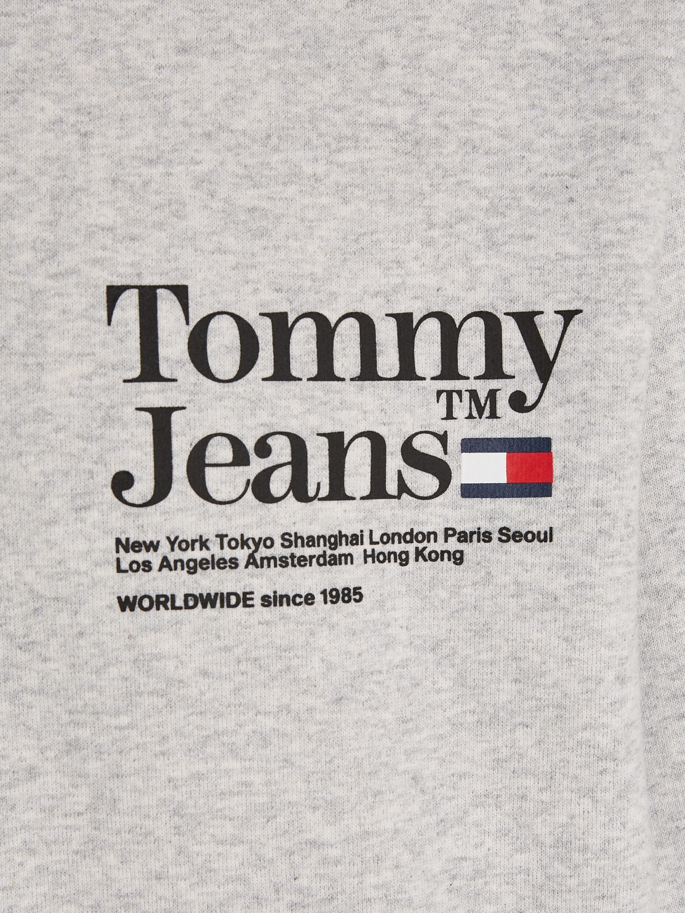 Tommy Jeans Kapuzensweatshirt »TJM REG MODERN TOMMY TM HOODIE«