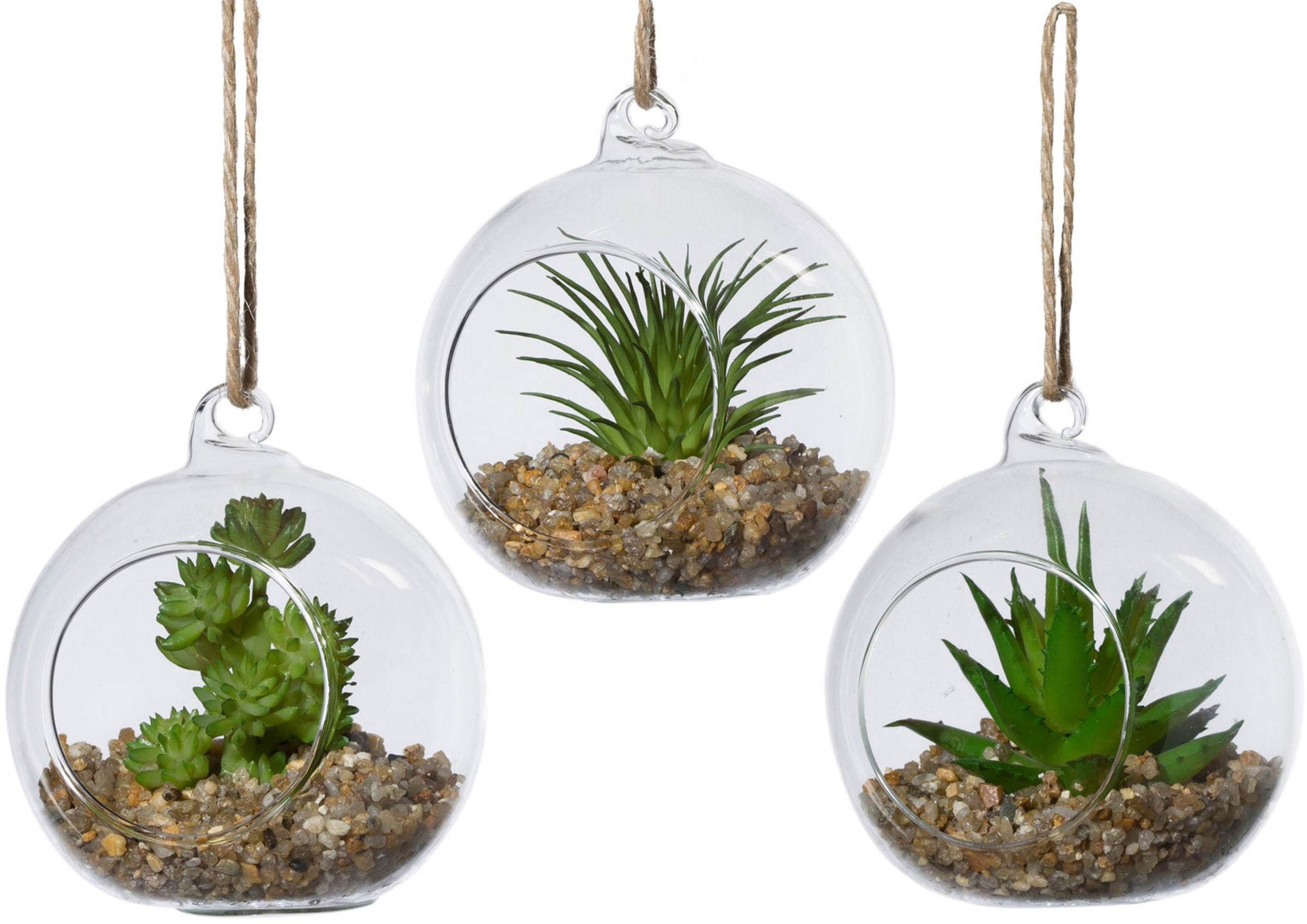 Creativ green Kunstpflanze »Sukkulenten«, im Set, im Glasgefäß online  kaufen | mit 3 Jahren XXL Garantie