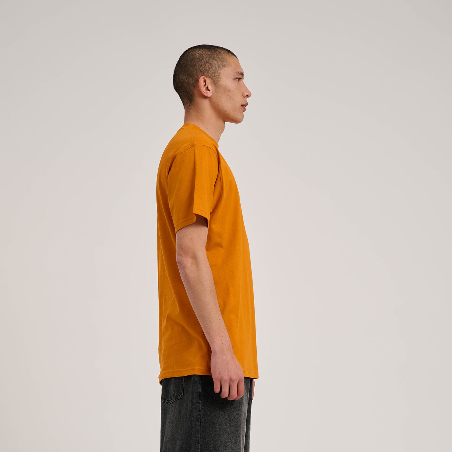 Santa Cruz T-Shirt »WOODLAND MINI STRIP FRONT T-SHIRT«, (1 tlg.)