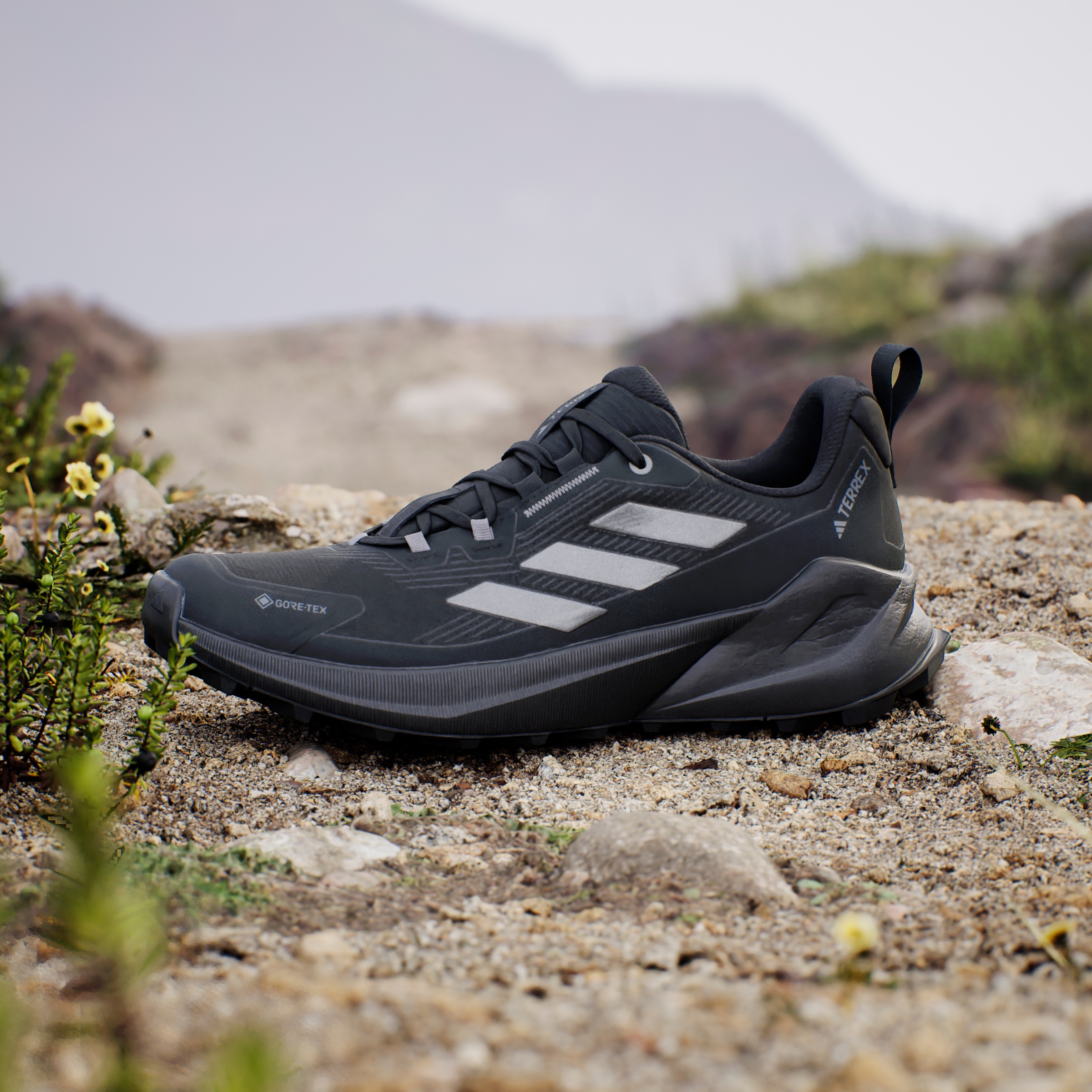 adidas TERREX Wanderschuh »TRAILMAKER 2 GORE-TEX«, wasserdicht