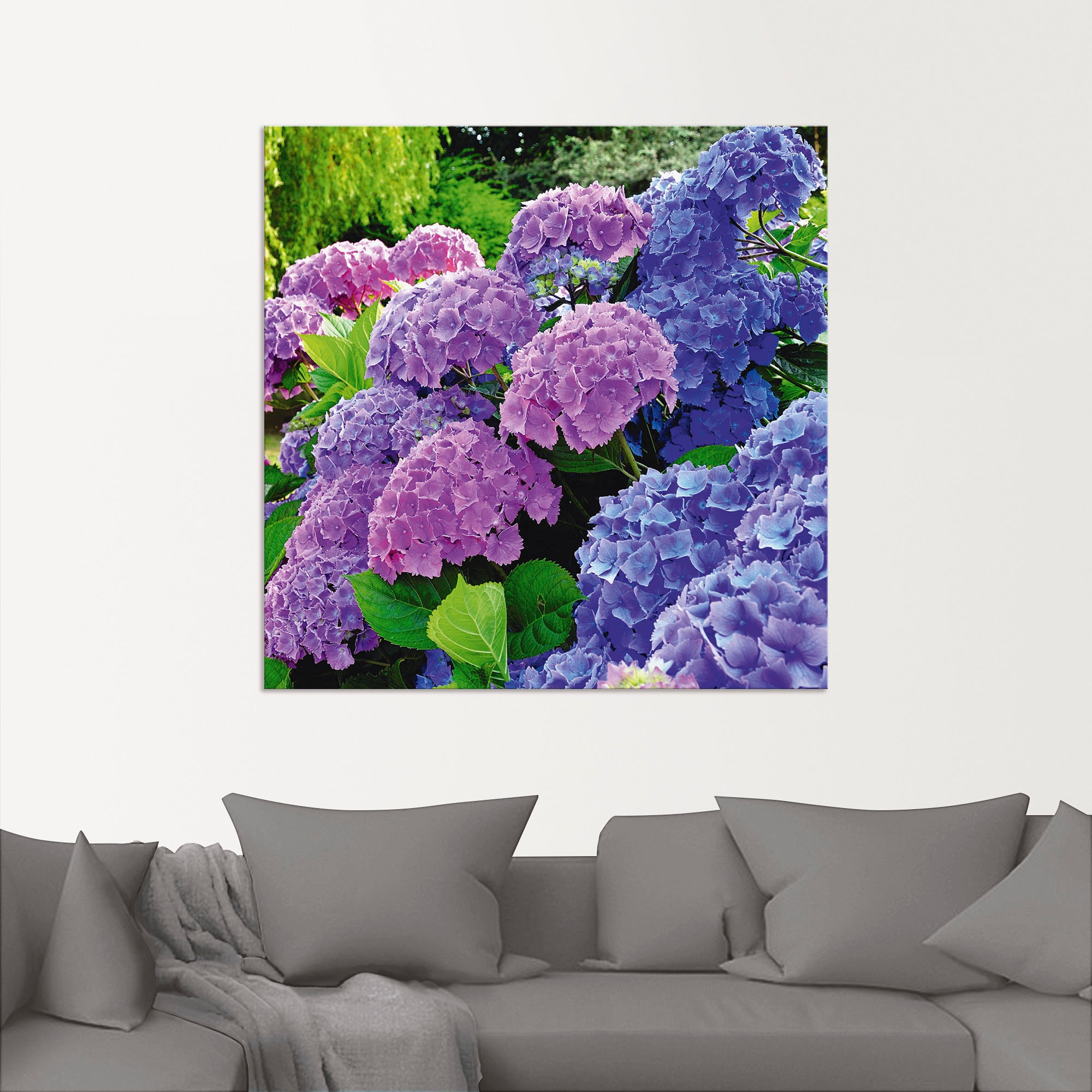 Artland Wandbild »Hortensien im Garten« Blumen 1 Stk. tlg. als Alubild, Leinwandbild, Poster in verschied. Größen