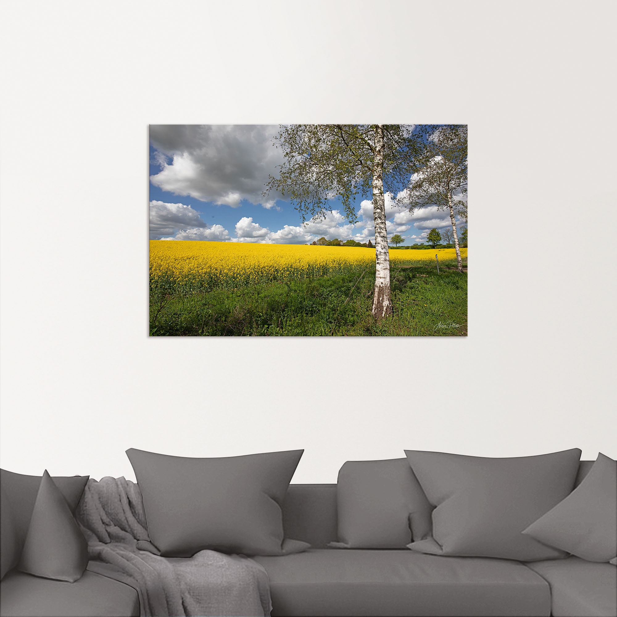 Artland Wandbild »Rapsfeld«, Wiesen & Baumbilder, (1 St.), als Alubild, Outdoorbild, Poster in verschied. Größen