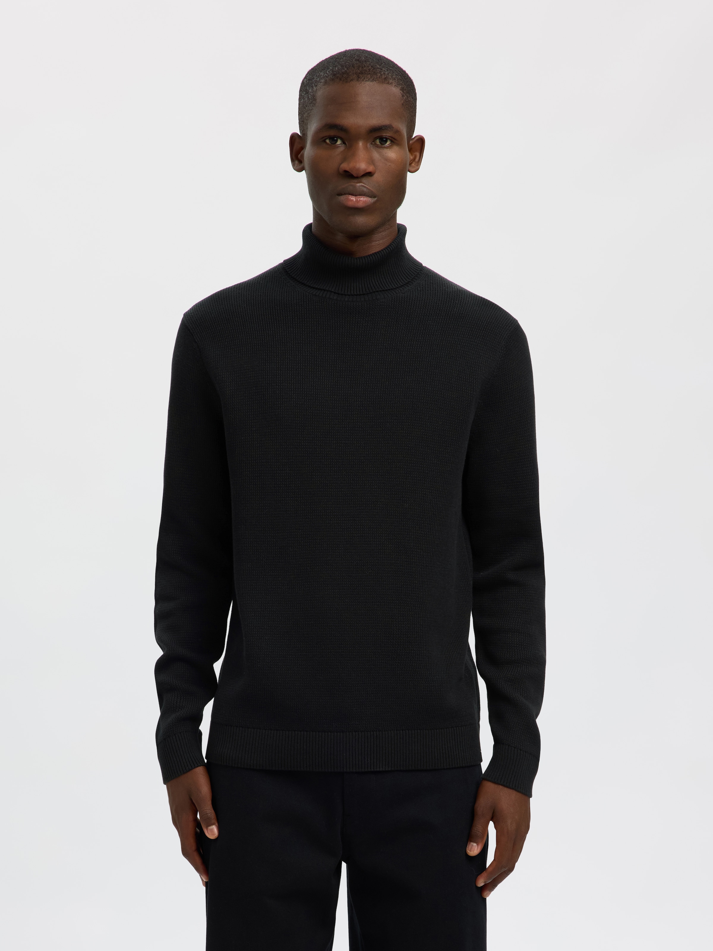 SELECTED Rollkragenpullover »SLHDANE LS KNIT STRUCTURE ROLL NECK NOOS«