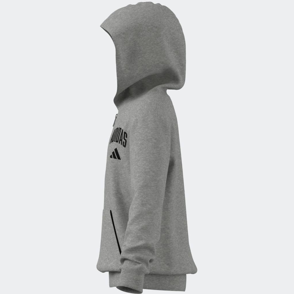 adidas Sportswear Kapuzensweatshirt »SEASONALS ESSENTIALS COLLEGIATE TYPOGRAPHY FULL-ZIP HOODIE KIDS«
