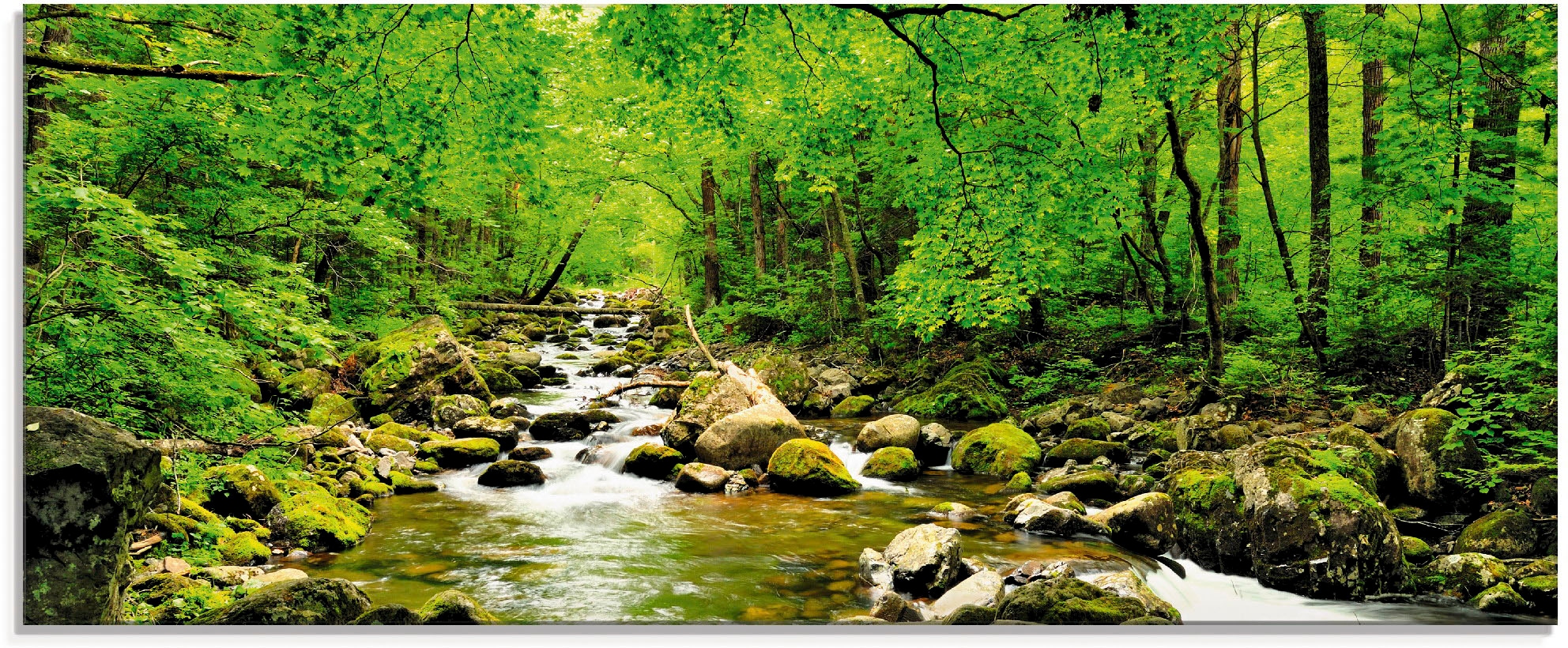 Artland Glasbild »Herbstwald Fluss Smolny«, Wald, (1 St.), in verschiedenen Größen