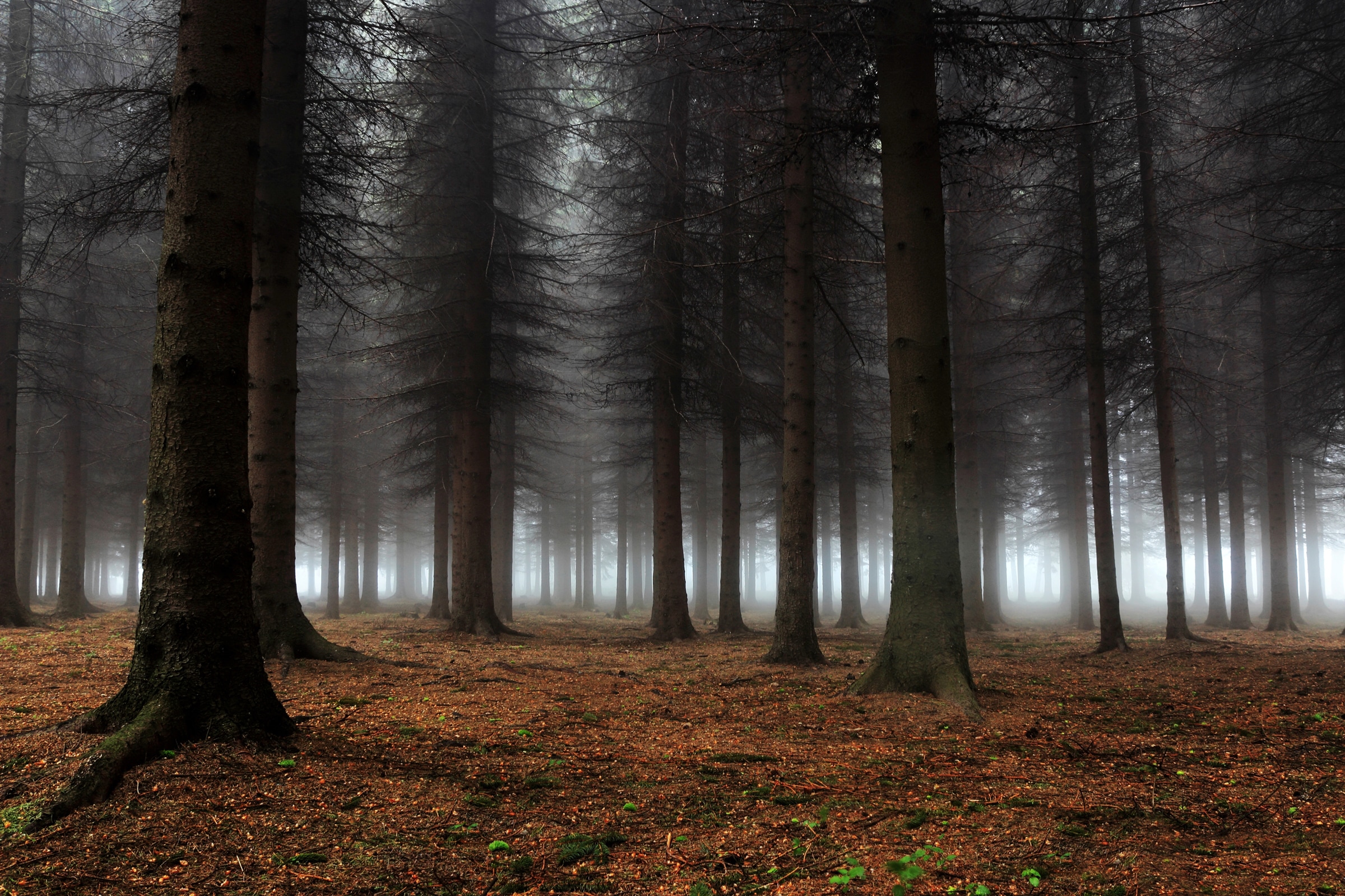 Papermoon, Fototapete »Photo-Art DRAGISA PETROVIC, PLATZ DER STILLE«, bunt, Vlies, B/L: 2,5 m m x 1,86 m m - Bahnen: 5 Stk. St., bunt