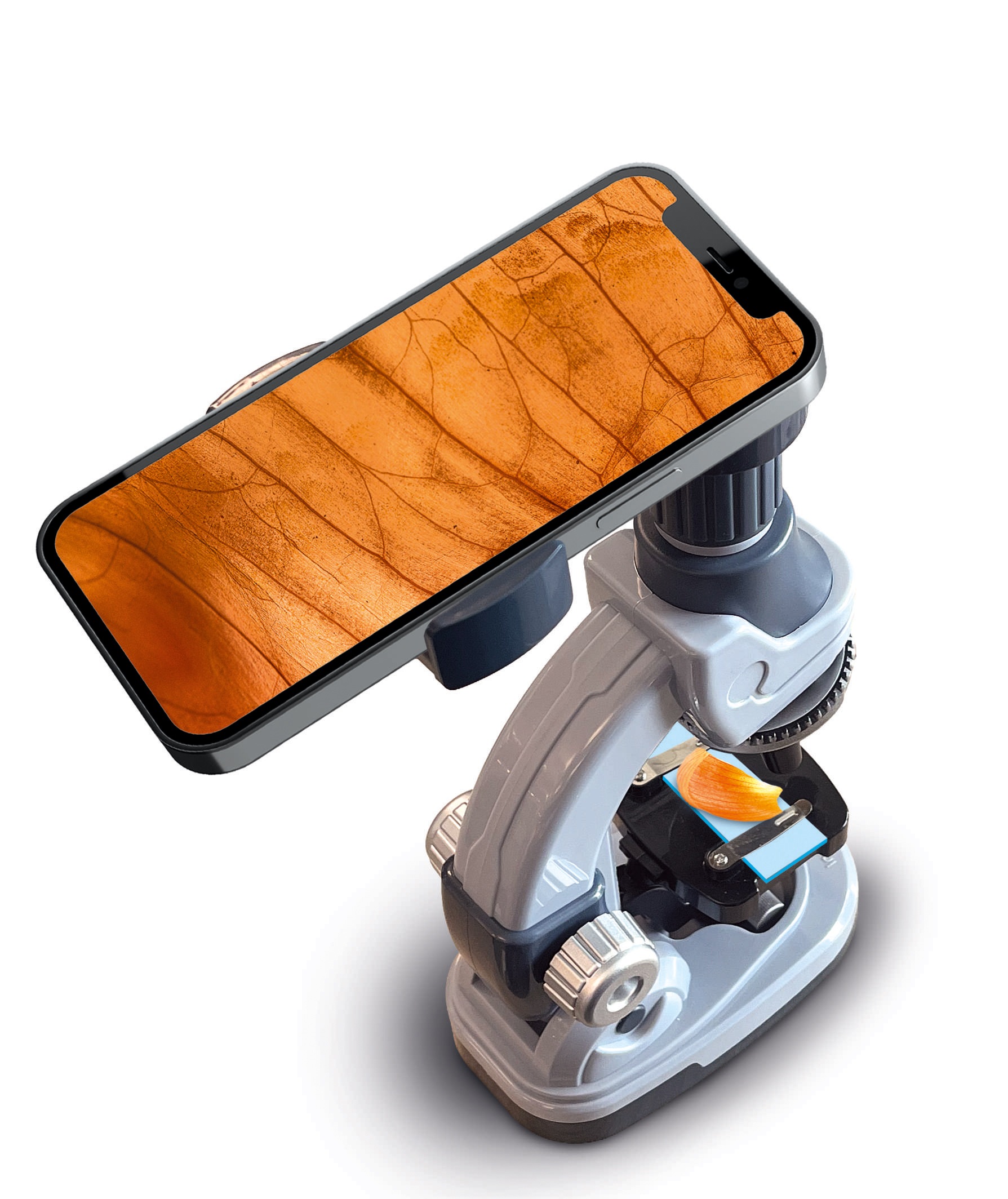 Clementoni® Experimentierkasten »Galileo Lap, Mein Mikroskop Deluxe« mit Smartphone-Halter
