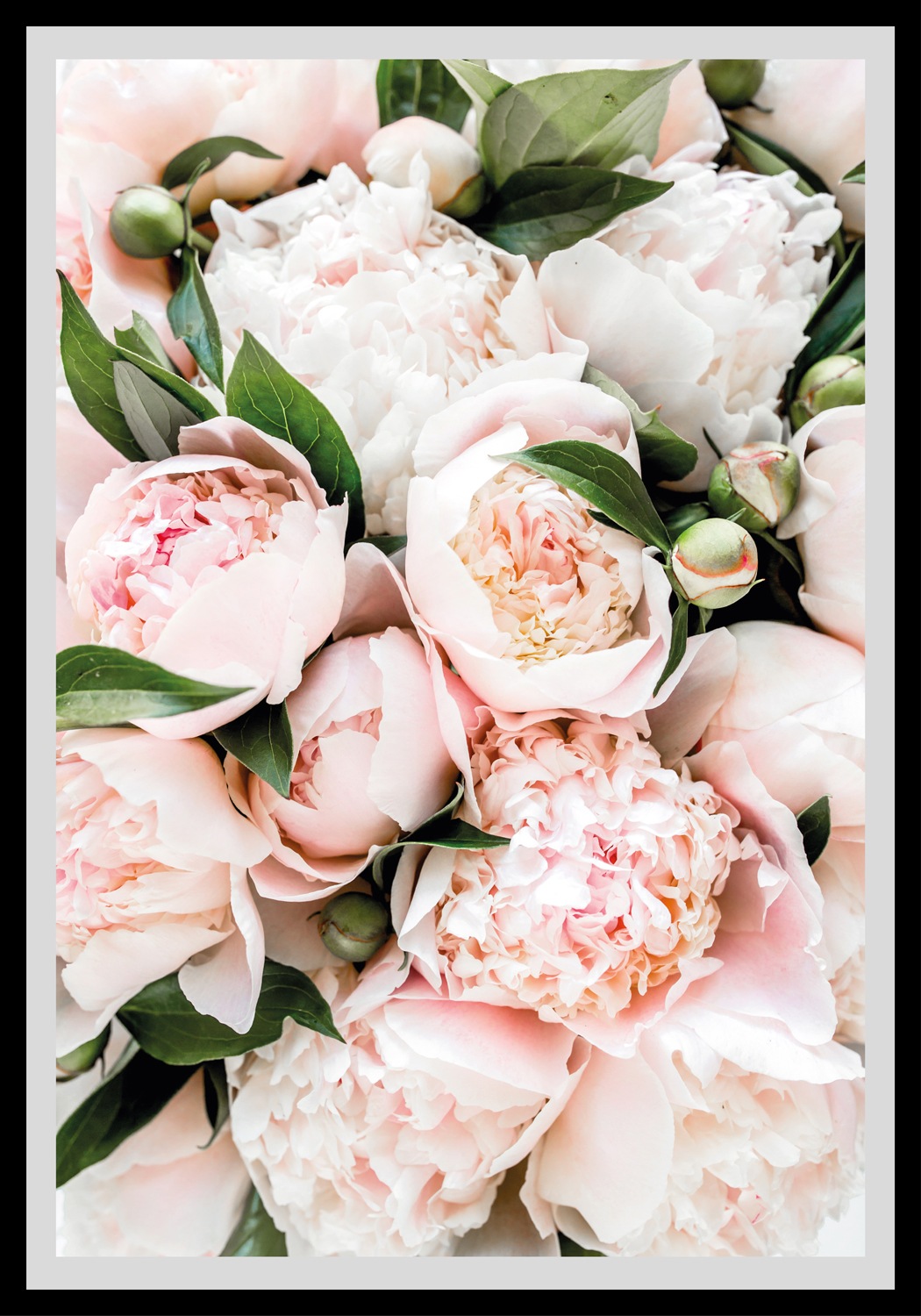 queence Bild »Stefanie«, Blumen, gerahmt, Rosen