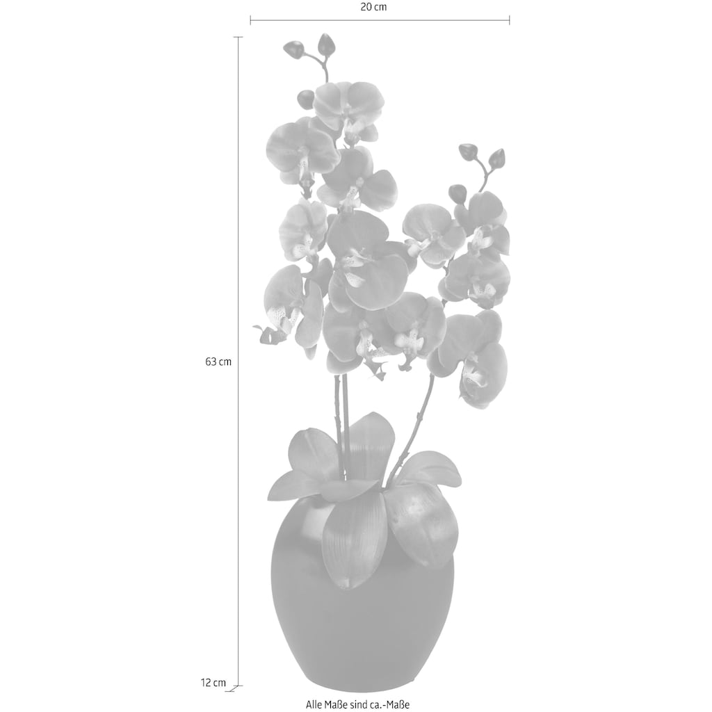 I.GE.A. Kunstpflanze »Phalaenopsis in Vase«