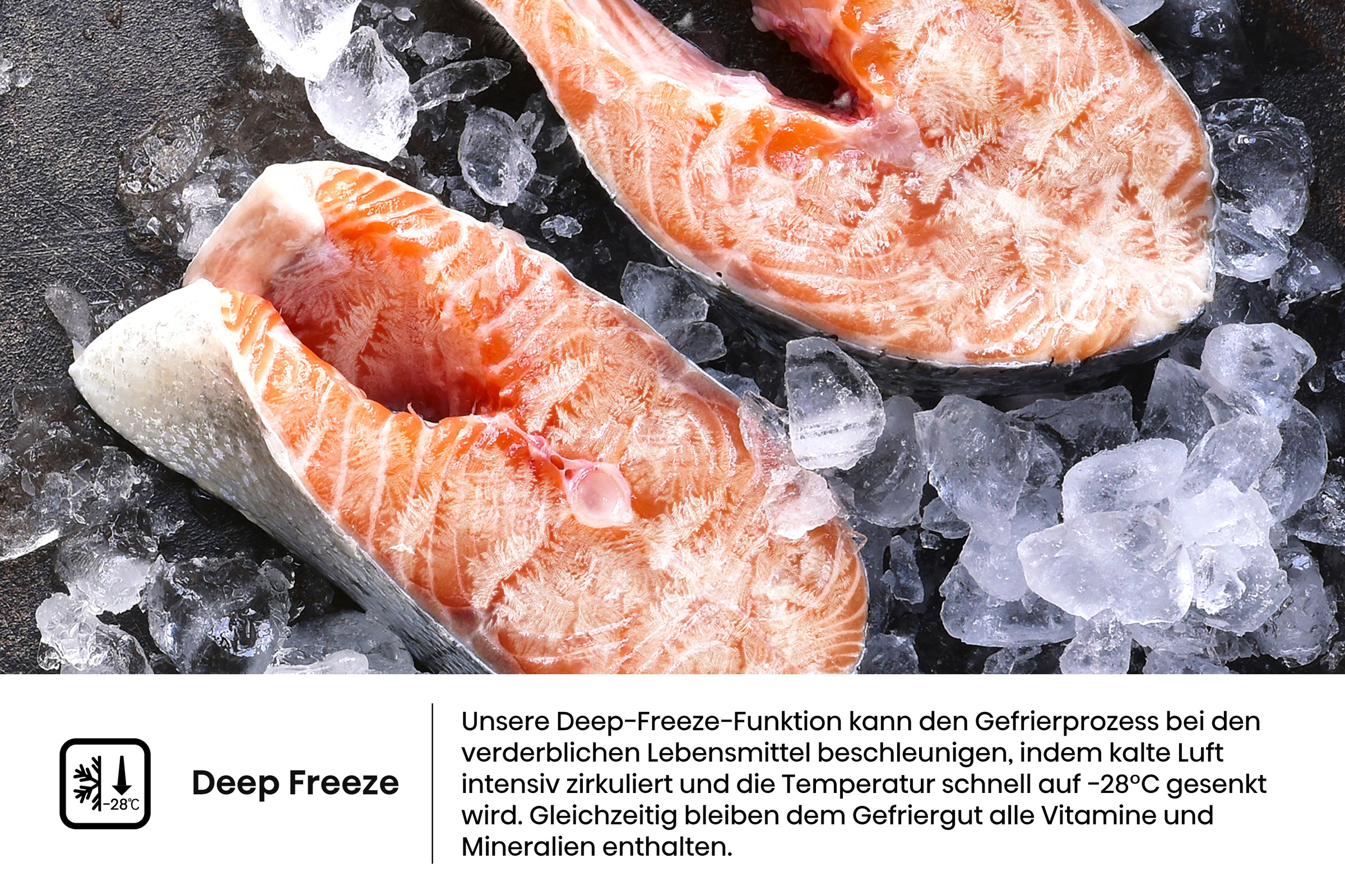 Hisense Kühl-/Gefrierkombination »RB3K330SAFC« 185,6 cm hoch 59,5 cm breit Total NoFrost