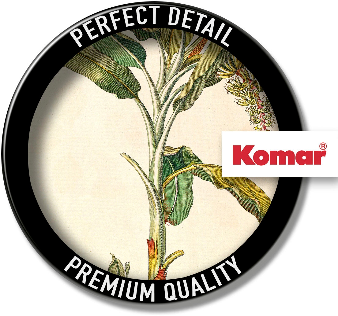 Komar Bild »Rainforest Sapling«, Natur, (1 St.), Wandbild zur Dekoration - ohne Rahmen
