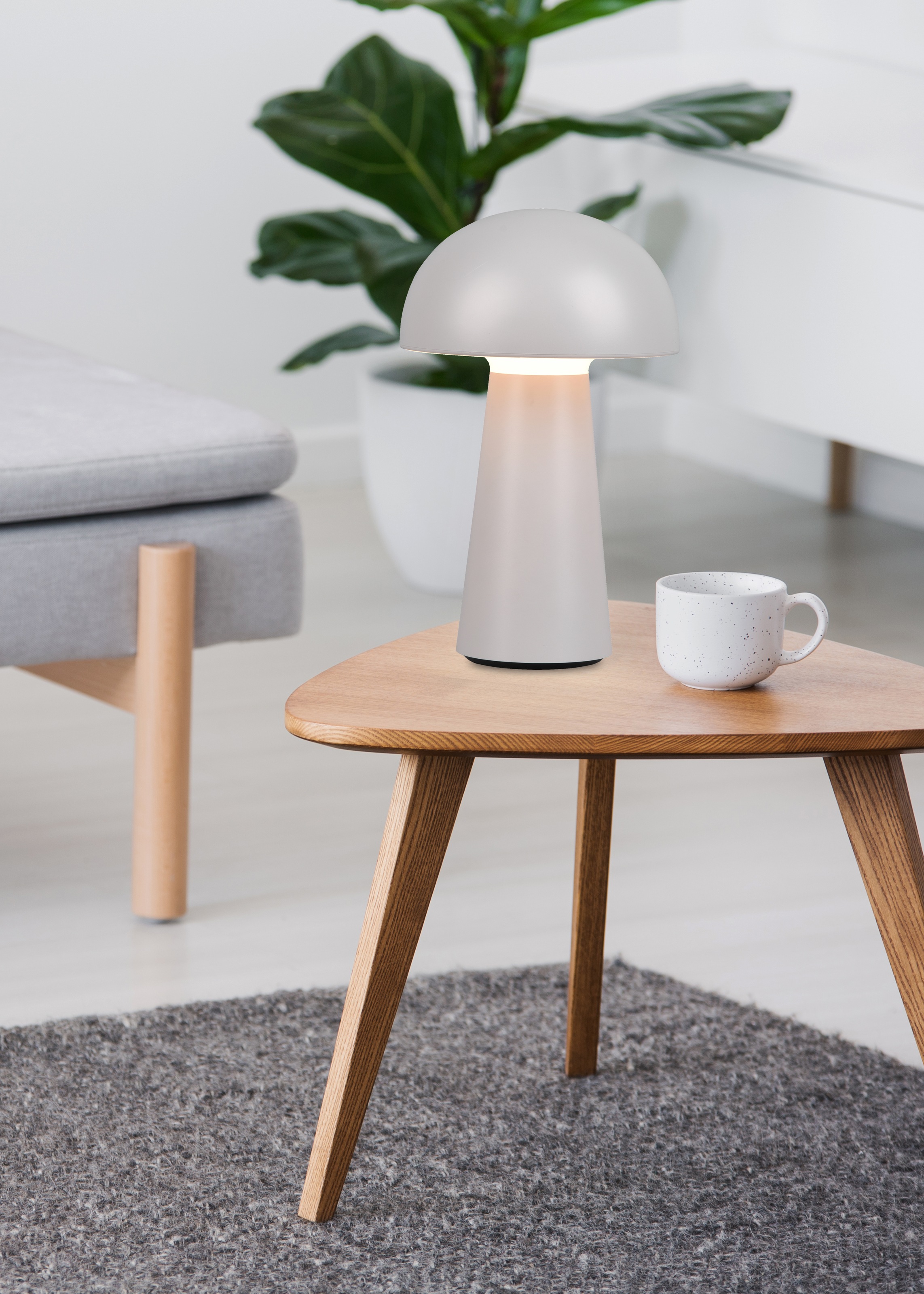 REALITY Leuchten LED Außen-Tischleuchte »Lennon«, Schutzart IP44, LED fest integriert, 4-fach Touchdimmer, Ladefunktion per USB-C