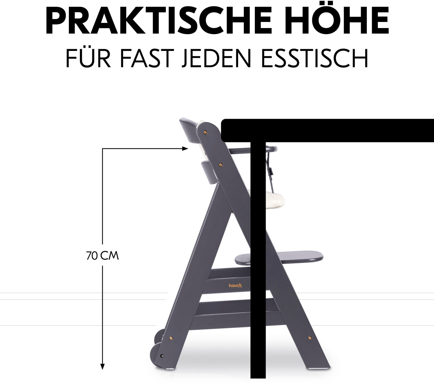 Hauck Hochstuhl »Beta+, Dark Grey«, FSC® - schützt Wald - weltweit