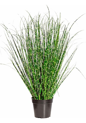 Kunstgras »Miscanthus Zebrinus«