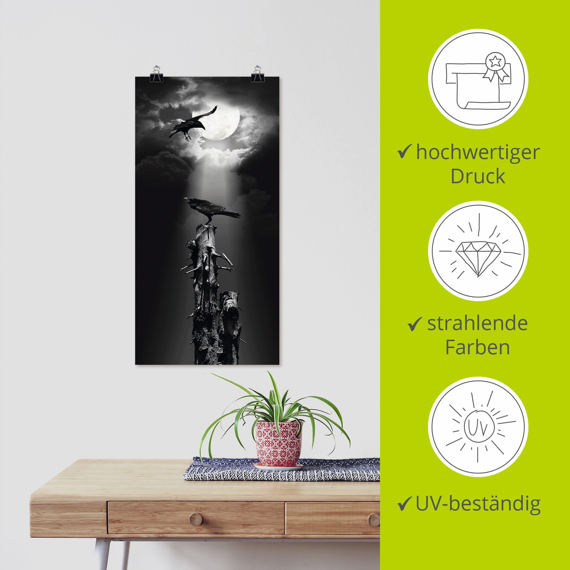 Artland Wandbild »Raben in der Nacht«, Vögel, (1 St.), als Leinwandbild, Poster, Wandaufkleber in verschied. Größen