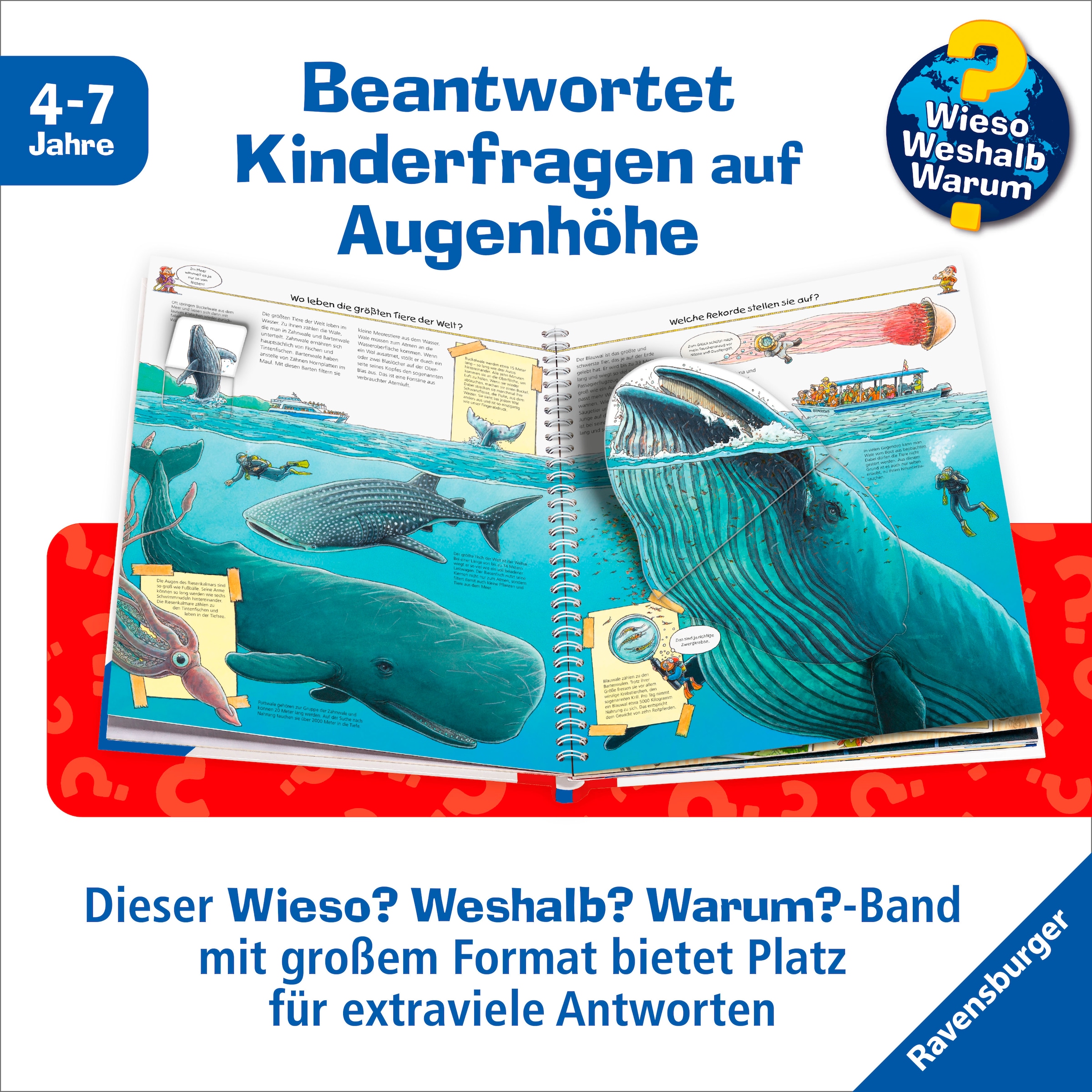 Ravensburger Buch »Wieso? Weshalb? Warum?, Groß, größer, am größten (Riesenbuch)«