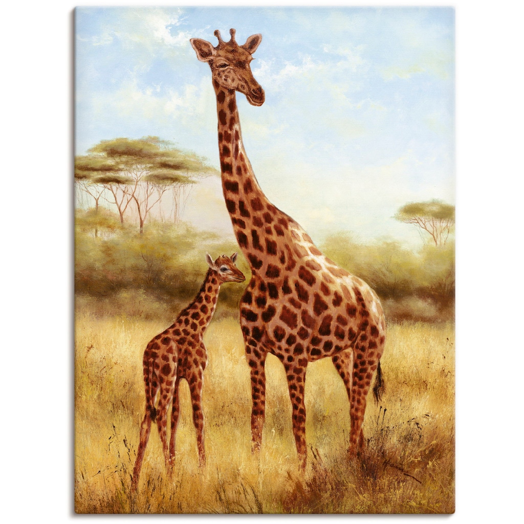 Artland Leinwandbild »Giraffe«, Wildtiere, (1 St.)