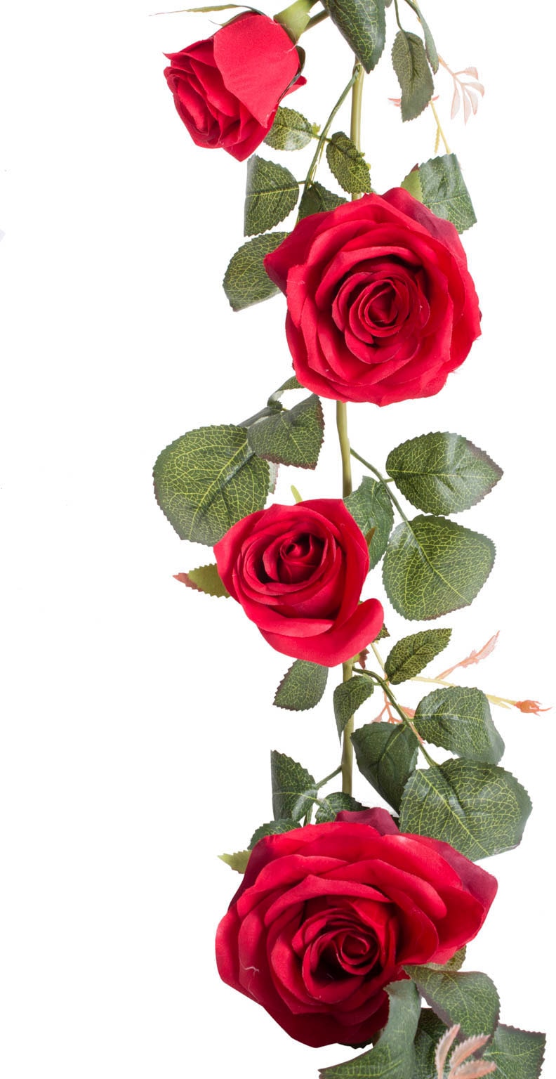 auf Dijon« Raten Botanic-Haus kaufen »Rosengirlande Kunstblume
