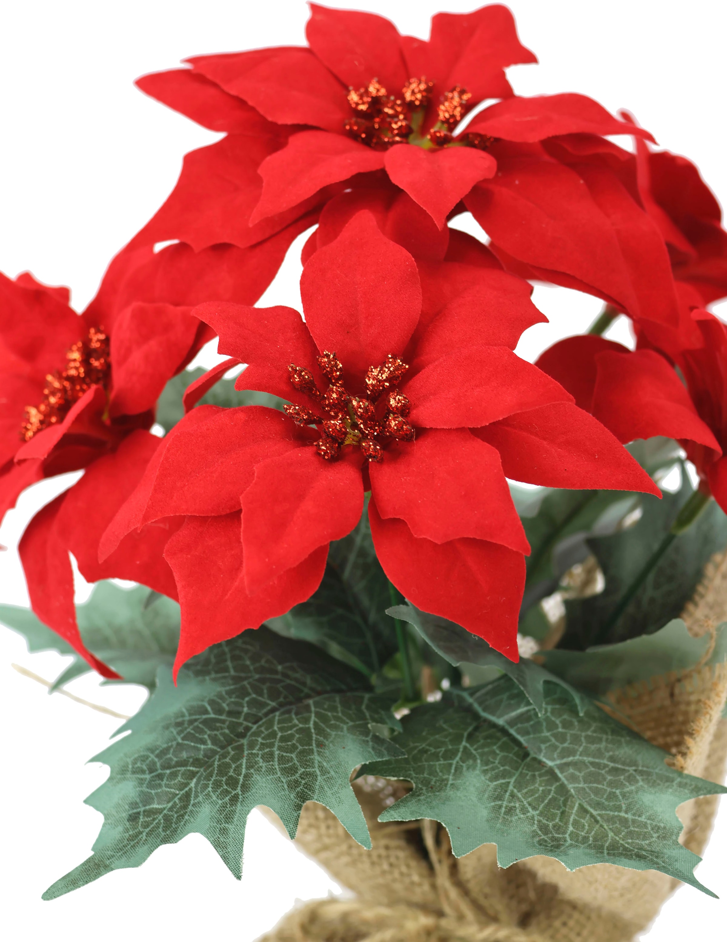 Kunstpflanze Rechnung auf Kunstblume, Weihnachtsstern,«, Poinsettia in mit I.GE.A. Winterliche »Gesteck Weihnachtsdeko Jute, kaufen