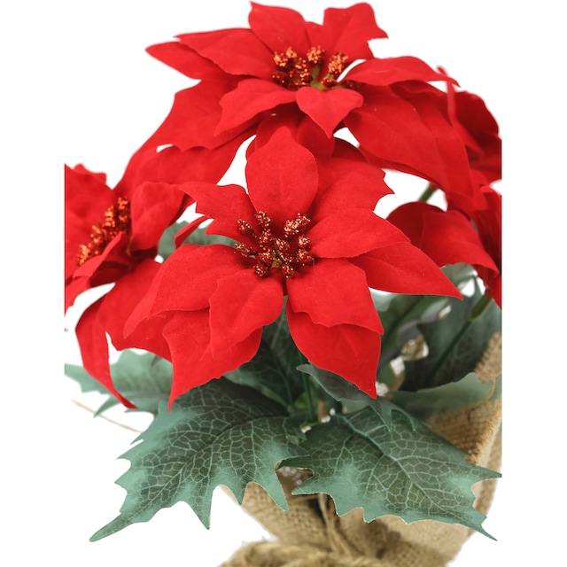 I.GE.A. Winterliche Kunstpflanze »Gesteck mit Poinsettia in Jute,  Weihnachtsstern,«, Kunstblume, Weihnachtsdeko auf Rechnung kaufen