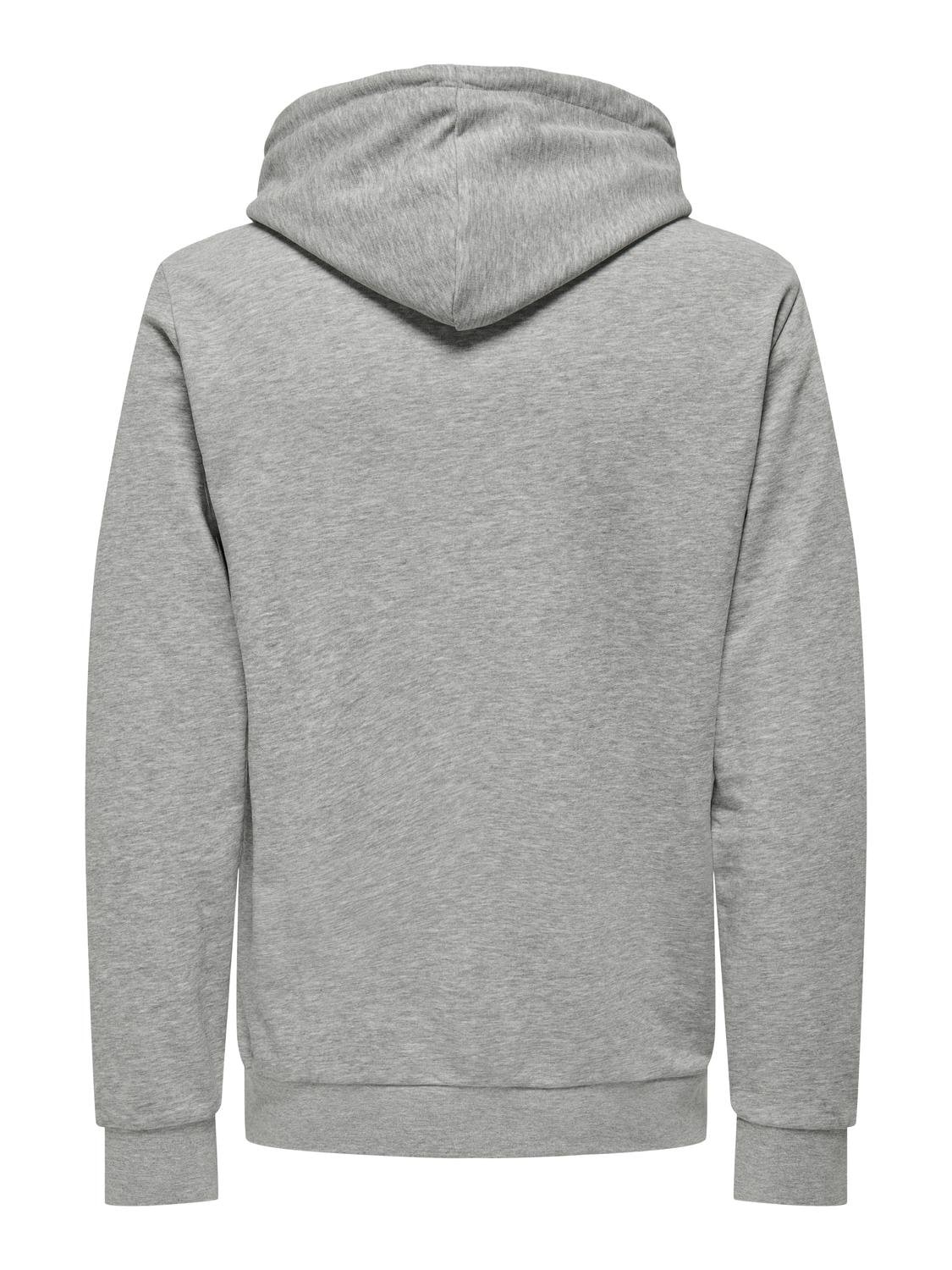 ONLY & SONS Kapuzensweatshirt »ONSLENNY REG VINTAGE PRINT HOOD SWEAT«