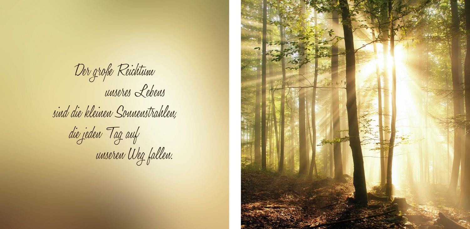 queence Leinwandbild »Sonnenstrahlen«, (Set), 2er-Set kaufen