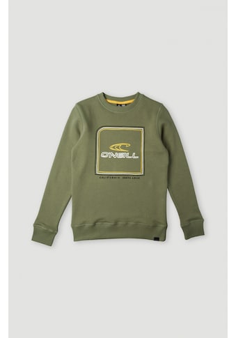 O'Neill Sweatshirt »ALL YEAR CREW SWEATSHIRT« kaufen