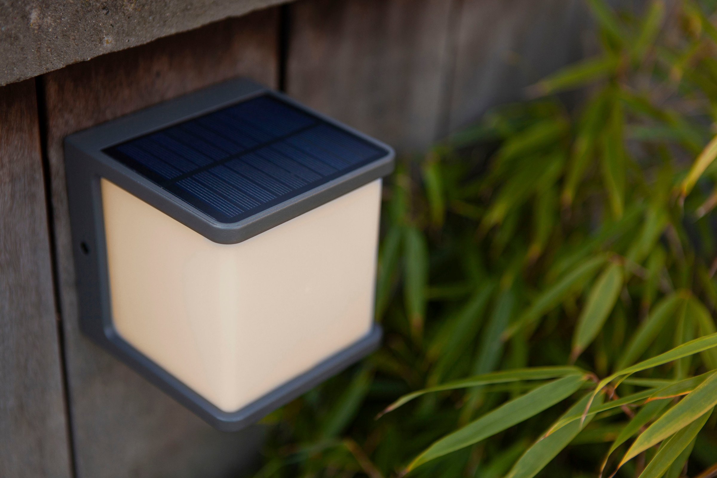 LUTEC LED Solarleuchte | mit XXL 3 online kaufen »DOBLO« Garantie Jahren